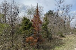 Ripenda, poljoprivredno zemljšte odmah do građevinskog, 56.000 m2, Labin, Земля