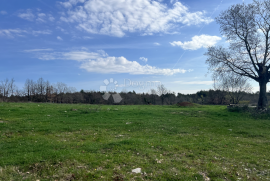 KOMBINACIJA GRAĐEVINSKOG I POLJOPRIVREDNOG ZEMLJIŠTA 6000m2, Marčana, Tierra