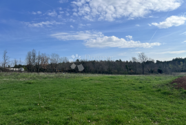 KOMBINACIJA GRAĐEVINSKOG I POLJOPRIVREDNOG ZEMLJIŠTA 6000m2, Marčana, Land