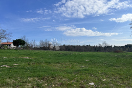 KOMBINACIJA GRAĐEVINSKOG I POLJOPRIVREDNOG ZEMLJIŠTA 6000m2, Marčana, Land