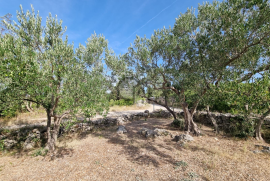 Poljoprivredno zemljište, Bogdanovići-Jadrija, Šibenik - Okolica, Land