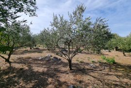 Poljoprivredno zemljište, Bogdanovići-Jadrija, Šibenik - Okolica, Land