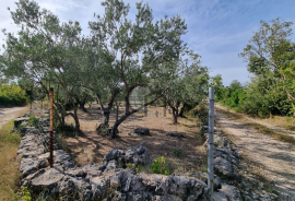 Poljoprivredno zemljište, Bogdanovići-Jadrija, Šibenik - Okolica, Terrain