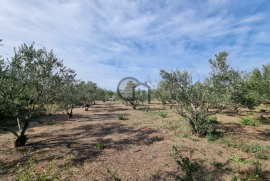 Poljoprivredno zemljište, Bogdanovići-Jadrija, Šibenik - Okolica, Terrain