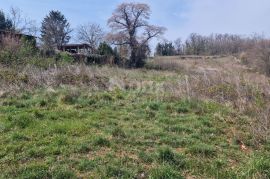 ISTRA, TINJAN - Građevinsko zemljište od 2706 m2, Tinjan, Land