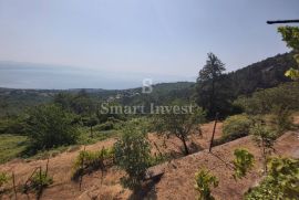 POLJANE, seosko imanje na zemljištu od 6097 m2, Opatija - Okolica, Casa