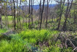 ISTRA, BUZET - Građevinsko zemljište na mirnoj lokaciji, Buzet, Terrain