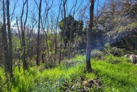 ISTRA, BUZET - Građevinsko zemljište na mirnoj lokaciji, Buzet, Γη