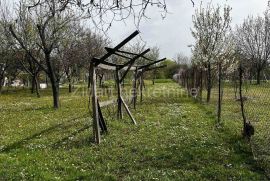 Inđija, prodaja dve kuće, Inđija, Famiglia