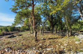 OTOK KRK, KRAS - Poljoprivredno zemljište u mjestu sa potencijalom za gradnju i svom infrastrukturom do parcele!, Dobrinj, Tierra