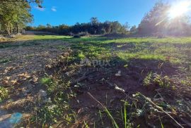 OTOK KRK, KRAS - Poljoprivredno zemljište u mjestu sa potencijalom za gradnju i svom infrastrukturom do parcele!, Dobrinj, Tierra