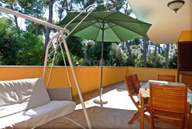 ISTRA, ROVINJ - Apartmanska kuća, 200 m od mora, Rovinj, Maison