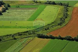 Istra.Grožnjan-Poljoprivredno zemljište, Grožnjan, أرض