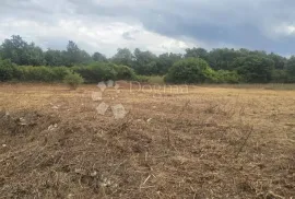 Građevinsko zemljište u blizini Marčane, Marčana, Terreno