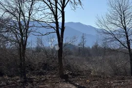 KUĆA U PRIRODI I UCRTANI OBJEKT S POGLEDOM VELEBIT, Gospić - Okolica, Casa