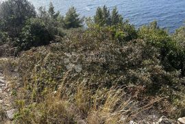 KORČULA, POLJOPRIVREDNO ZEMLJIŠTE VELA LUKA, Vela Luka, Γη