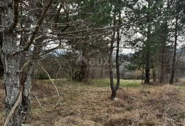 MATULJI, PASJAK - Poljoprivredno zemljište 2.881m2, Matulji, Land