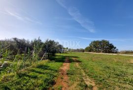 ISTRA, BRTONIGLA - Prostrano imanje s puno potencijala, Brtonigla, Maison