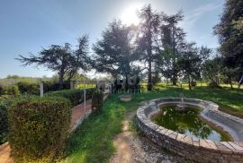 ISTRA, BRTONIGLA - Prostrano imanje s puno potencijala, Brtonigla, Maison