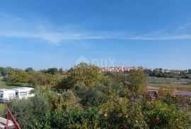 ISTRA, BRTONIGLA - Prekrasna prostrana kuća na osami, Brtonigla, Maison