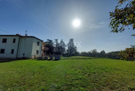 ISTRA, BRTONIGLA - Prekrasna prostrana kuća na osami, Brtonigla, House