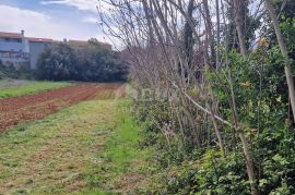 ISTRA, VODNJAN - Dva građevinska zemljišta, Vodnjan, Zemljište