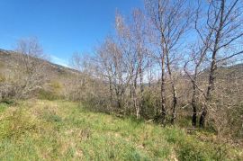 Građevinsko zemljište s panoramskim pogledom, okolica Oprtlja, Oprtalj, Land