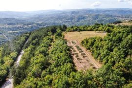 ISTRA, CEROVLJE - Prostrano poljoprivredno zemljište s maslinama, Cerovlje, Arazi