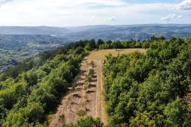 ISTRA, CEROVLJE - Prostrano poljoprivredno zemljište s maslinama, Cerovlje, Land