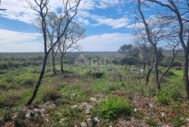 ISTRA, BALE Poljoprivredno zemljište s pogledom na more, Bale, Arazi