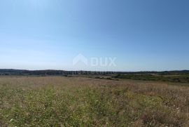 ISTRA, BUJE - Poljoprivredno zemljište površine 14 255 m2 s pogledom na more!, Buje, Zemljište