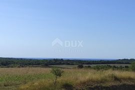 ISTRA, BUJE - Poljoprivredno zemljište površine 14 255 m2 s pogledom na more!, Buje, Terreno