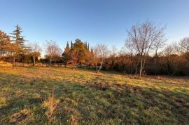 Građevinsko zemljište 1659 m2 s projektom, okolica Marčane, Marčana, Terreno