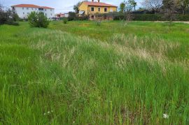 Prostrano građevinsko zemljište, okolica Poreča, Poreč, Terreno