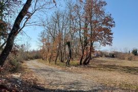 Prostrano mješovito zemljište od 4697 m2, okolica Tinjana, Tinjan, Terreno