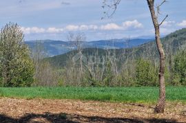 ISTRA, RAKOTULE -Građevinsko zemljište ispred zelene površine s prekrasnim otvorenim pogledom, Karojba, Terra