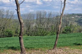 ISTRA, RAKOTULE -Građevinsko zemljište ispred zelene površine s prekrasnim otvorenim pogledom, Karojba, Γη