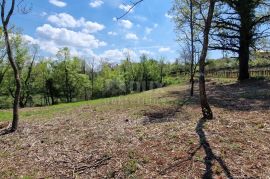 ISTRA, RAKOTULE -Građevinsko zemljište ispred zelene površine s prekrasnim otvorenim pogledom, Karojba, Tierra