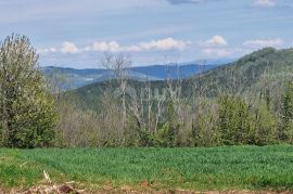 ISTRA, RAKOTULE -Građevinsko zemljište ispred zelene površine s prekrasnim otvorenim pogledom, Karojba, Tierra