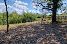 ISTRA, RAKOTULE -Građevinsko zemljište ispred zelene površine s prekrasnim otvorenim pogledom, Karojba, Terra