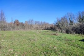 ISTRA, MANJADVORCI - Građevinsko zemljište sa građevinskom dozvolom, 1040 m2, Barban, Land