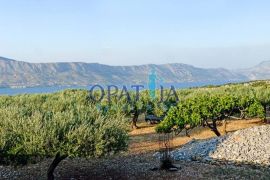 Maslinik - otok Brač, Postira, Land