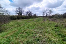 Zemljište s projektom i građevinskom dozvolom, okolica Marčane, Marčana, Land