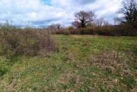 Zemljište s projektom i građevinskom dozvolom, okolica Marčane, Marčana, Terreno