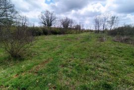 Zemljište s projektom i građevinskom dozvolom, okolica Marčane, Marčana, Land