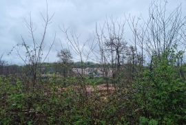 ISTRA, TINJAN - poljoprivredno zemljište na prodaju!, Tinjan, Land