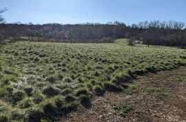 Istra, Labin, lijepo građevinsko zemljište, Labin, Terrain