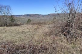 ISTRA BLIZINA MOTOVUNA- POLJOPRIVREDNO ZEMLJIŠTE, Motovun, Tierra