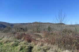 ISTRA BLIZINA MOTOVUNA- POLJOPRIVREDNO ZEMLJIŠTE, Motovun, Arazi