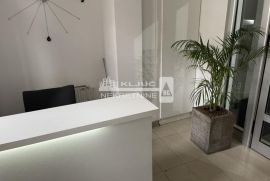 Vračar, centar, Lux sa spa zonom i garažom ID#1669, Vračar, Apartamento